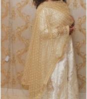 Arshi Ansari
