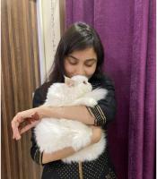 Tahera Ahmed